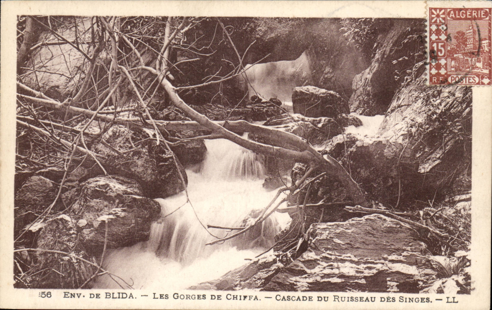 Algeria CPA Environs of Blida Gorges of Chiffa Cascades of the brook of the monkeys