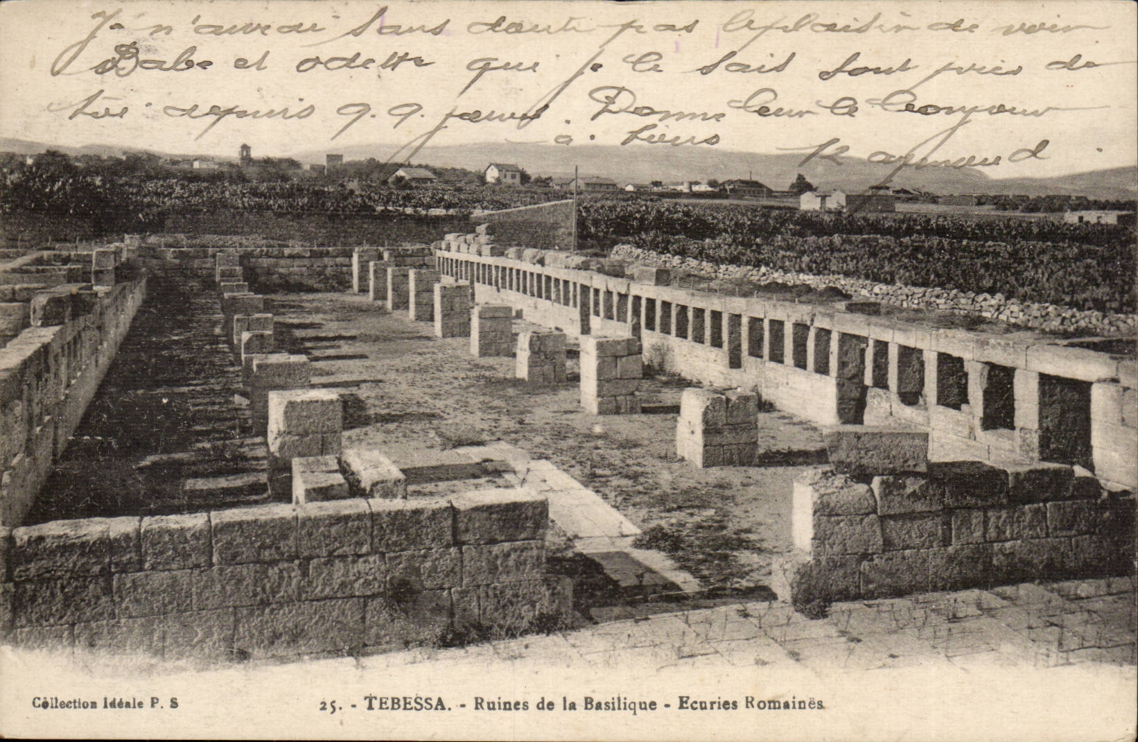 Algeria CPA Tebessa Ruins of the basilica Roman Stables