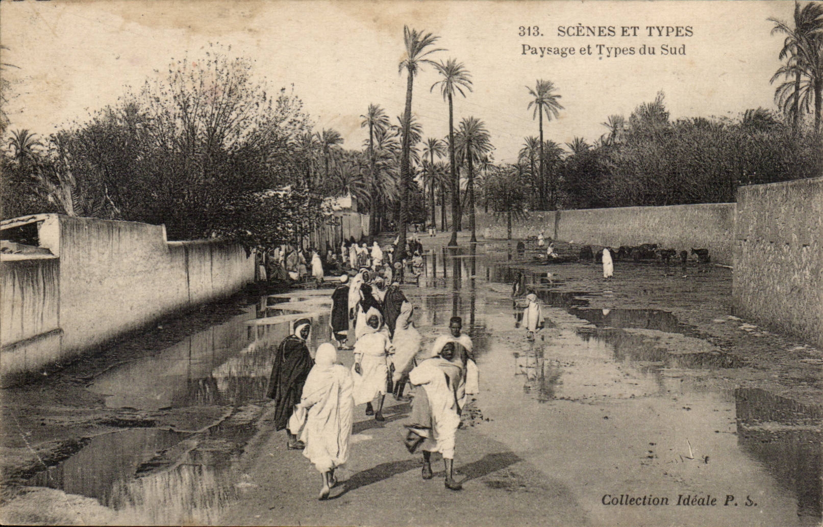 Algeria CPA Scenes and standard Landscape and types of the south