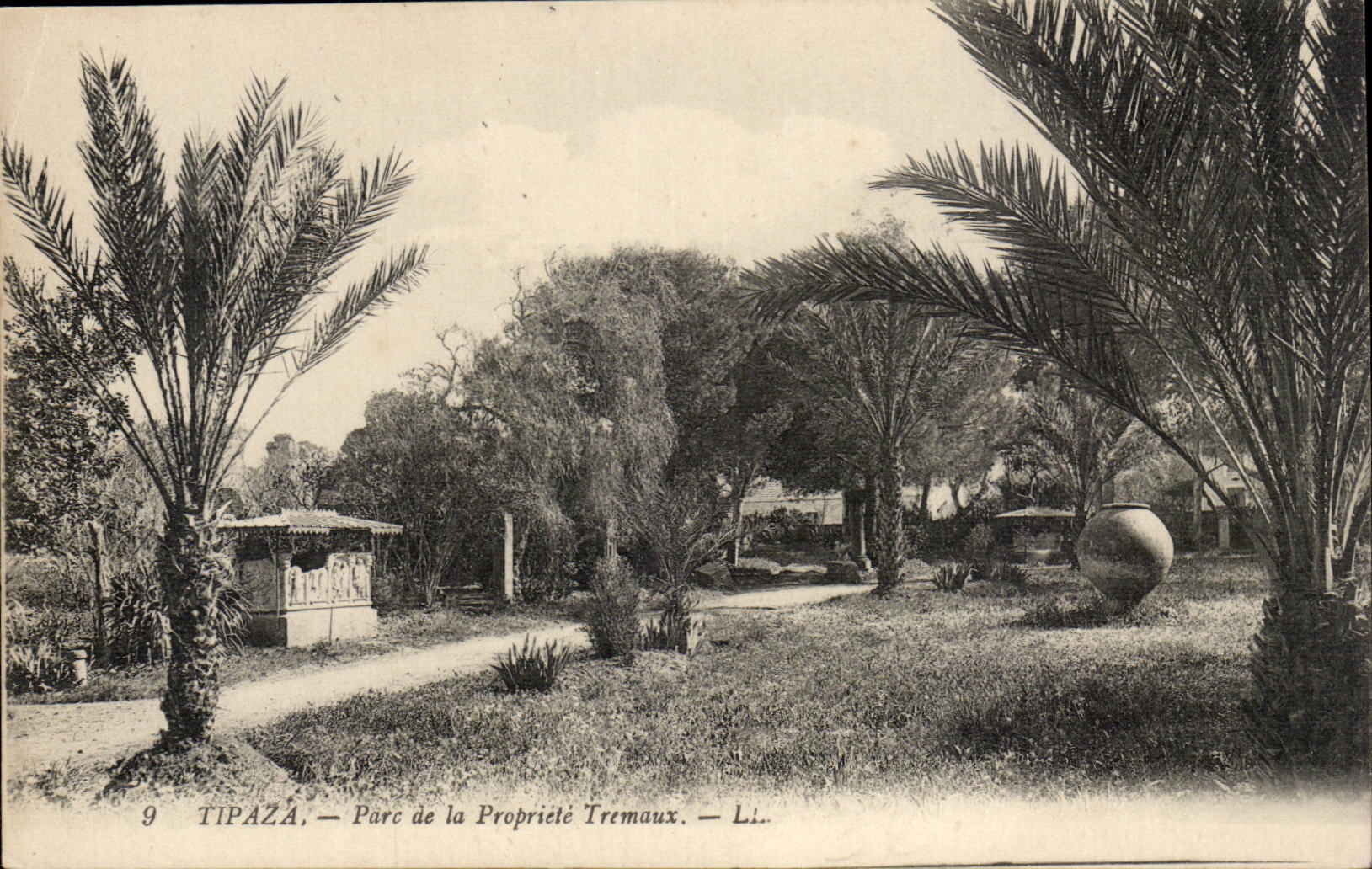 Algeria CPA Tipaza Park of the Tremeaux Property