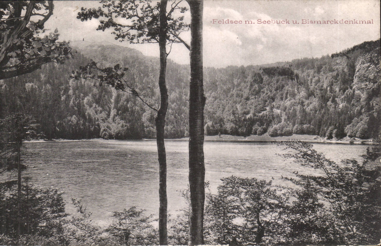 Allemagne Feldsee m Seebuck u Bismarckdenkmal