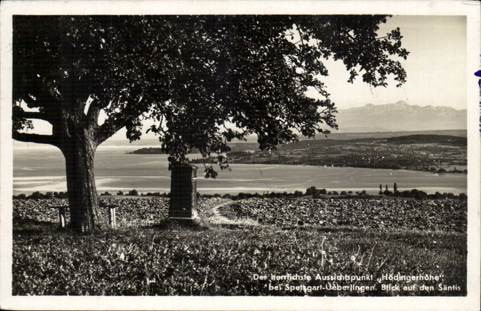 Deutschland - Allemagne - Der herrlichste Aussichtpunkt bei Spettgarl Ueberlingen - CPA