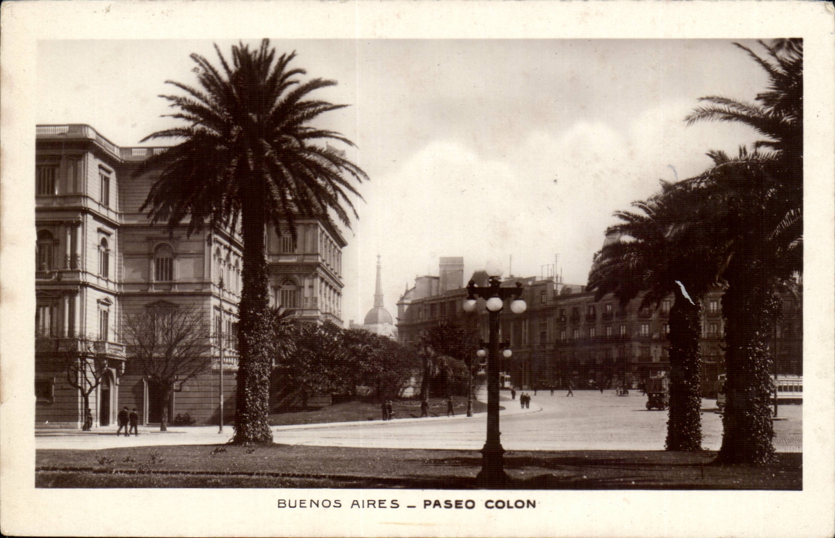 Argentina Buenos Aires CPA Palm trees Paseo Colonist
