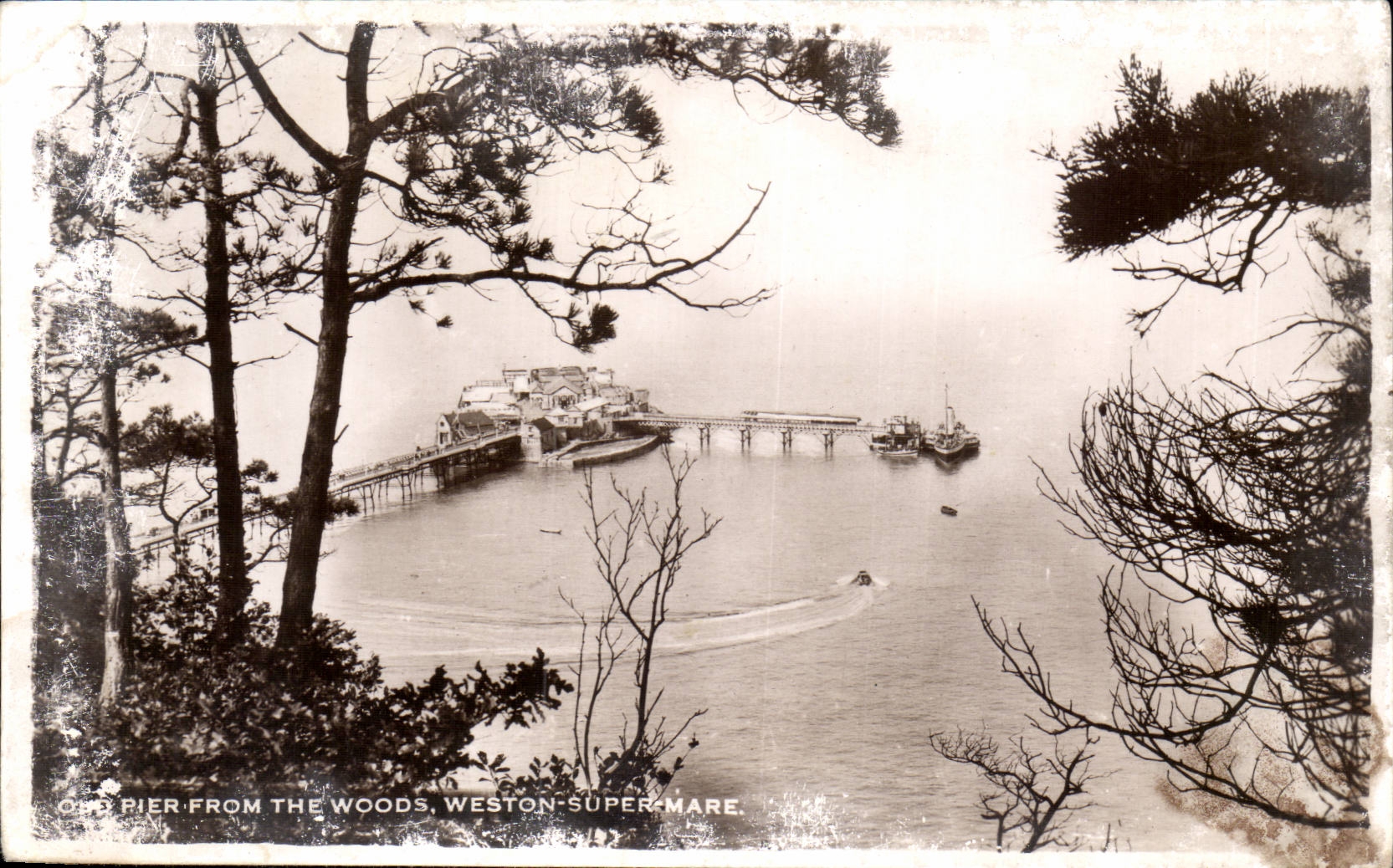 The United States CPA Old pier from the woods Weston supermare
