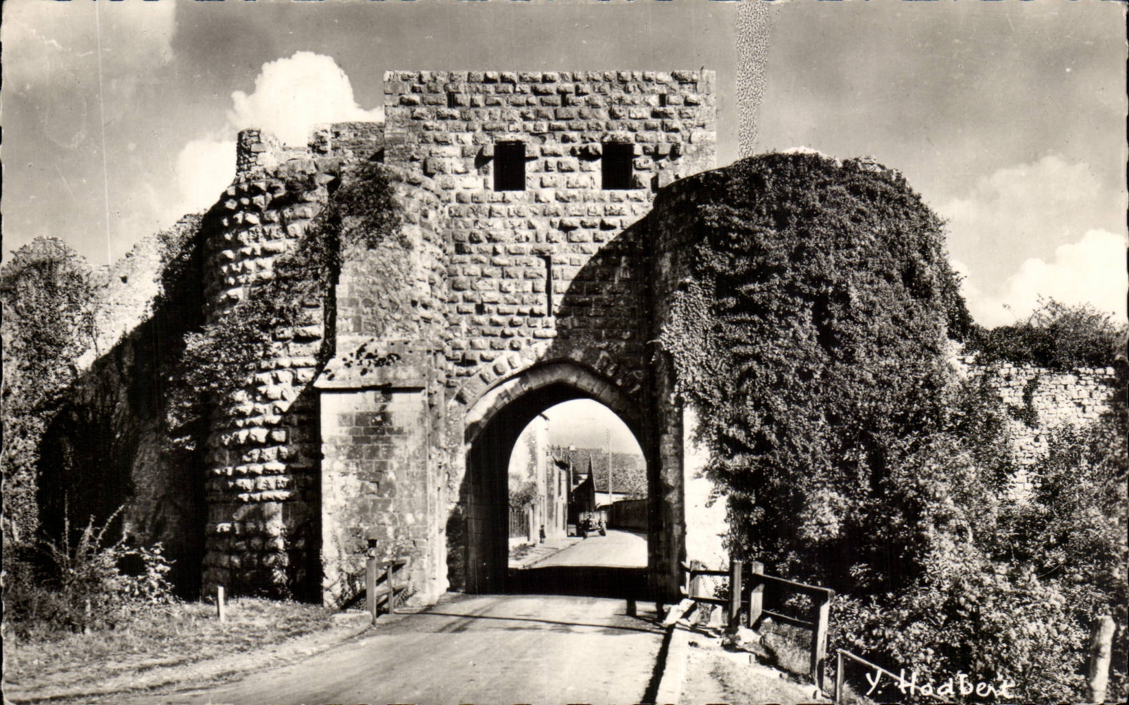 Layered branches MODERN CARD the door St Jean