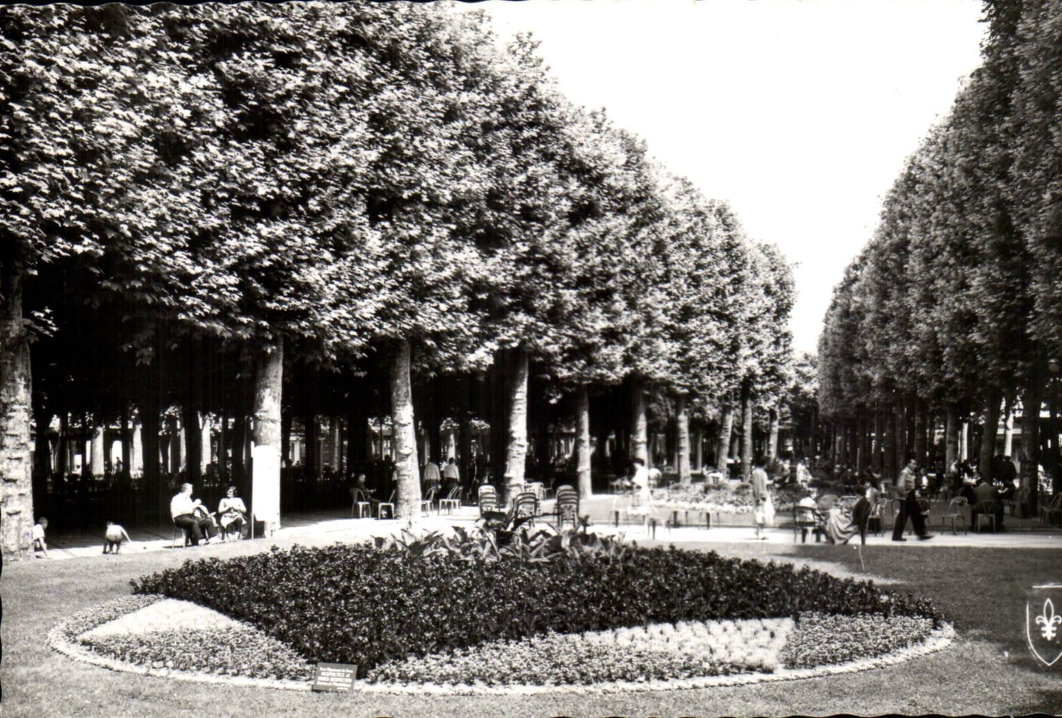 Vichy CPA Le parc