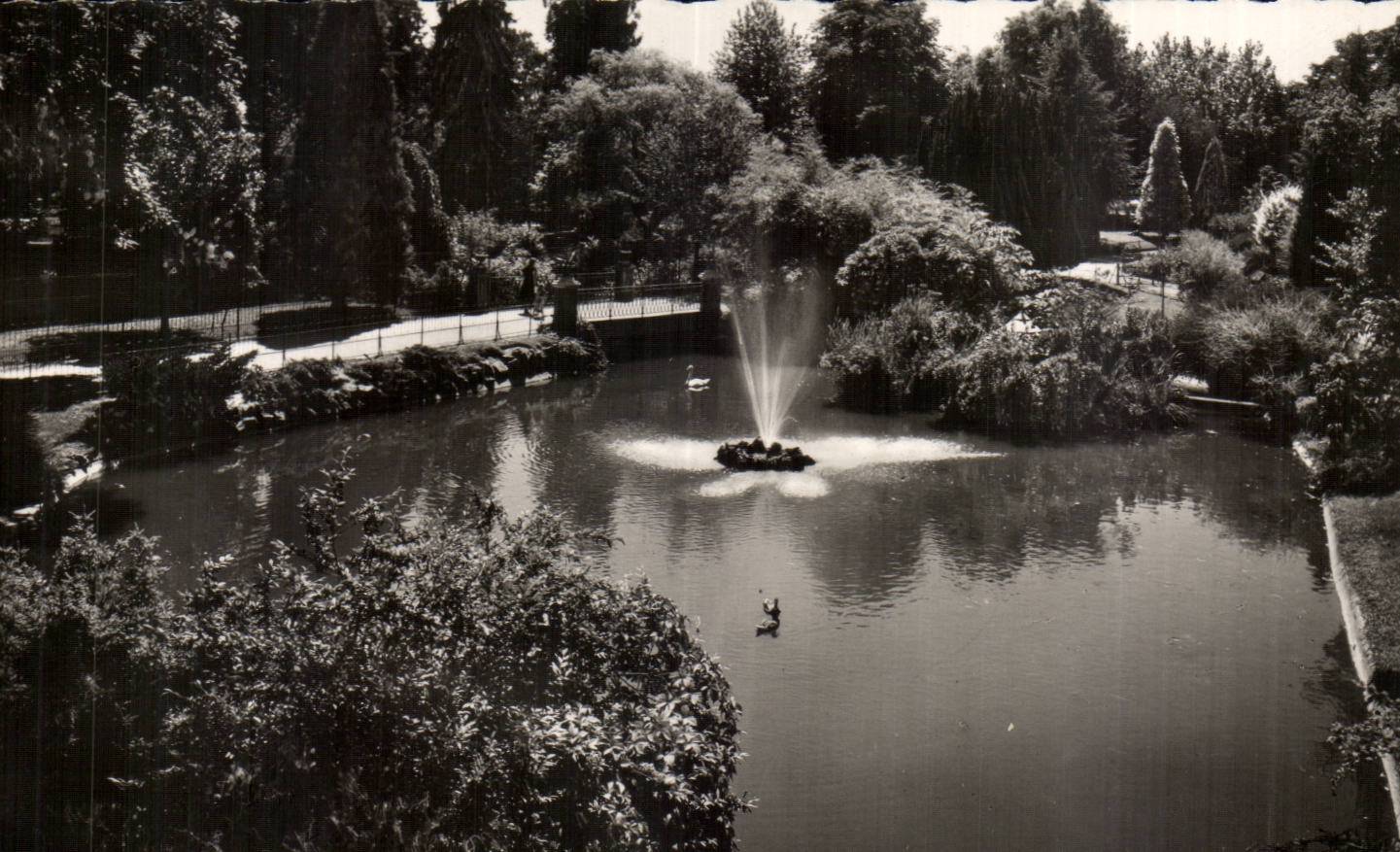 Vichy CPA Le bassin des cygnes dans les grands parcs