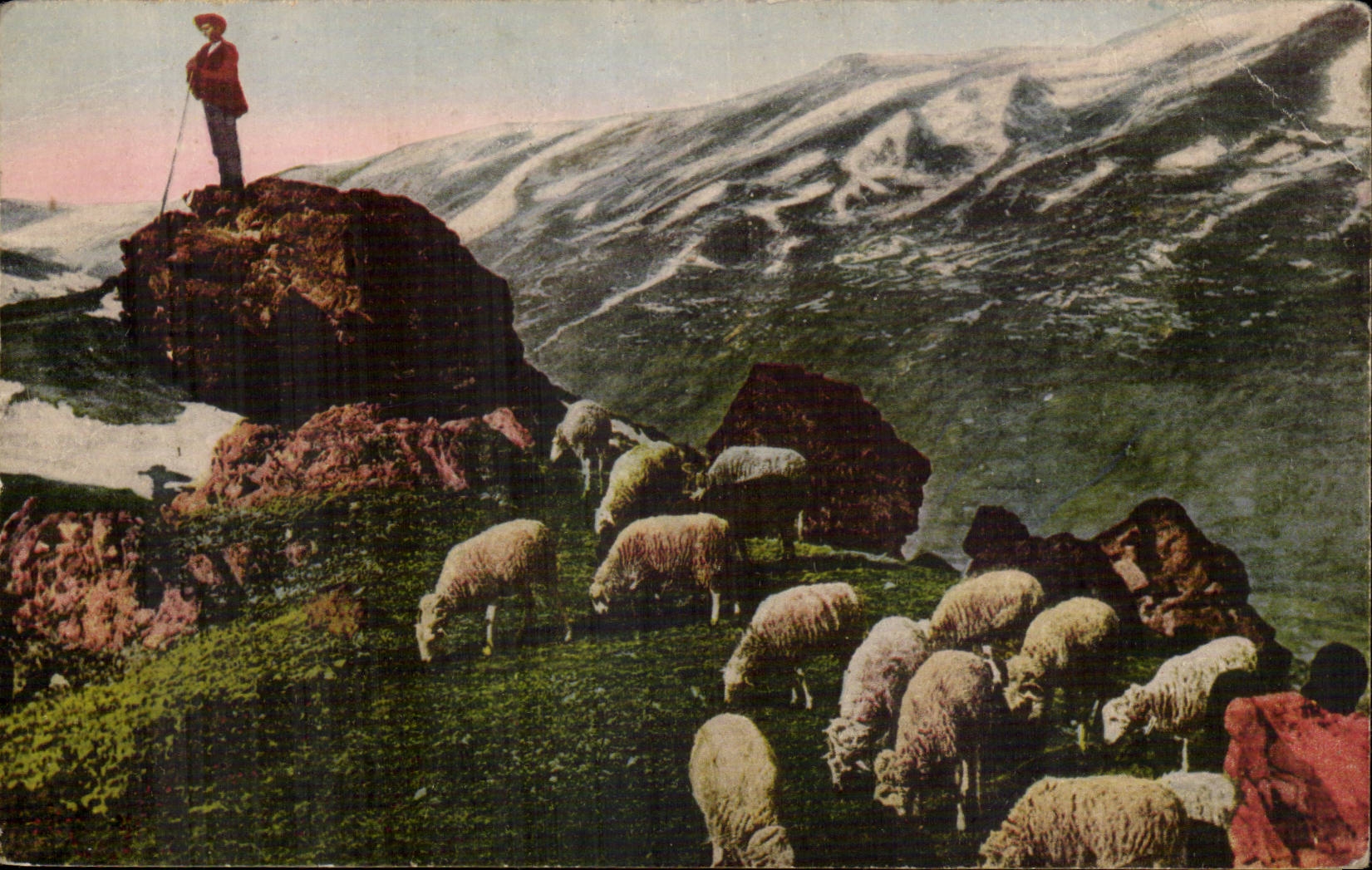 CPA the Pyrenees far from the world (sheep)