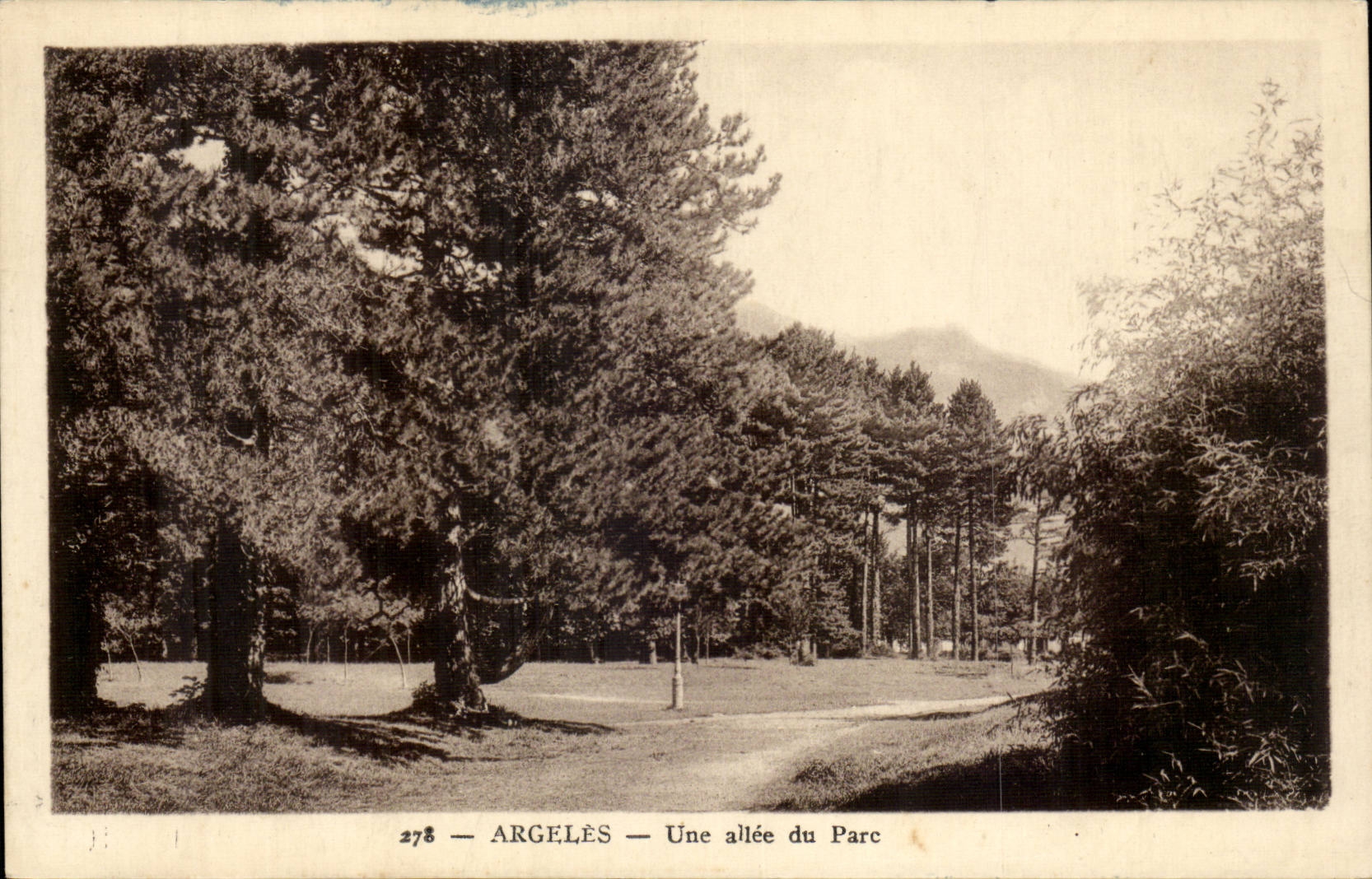 Argeles CPA an alley of the park