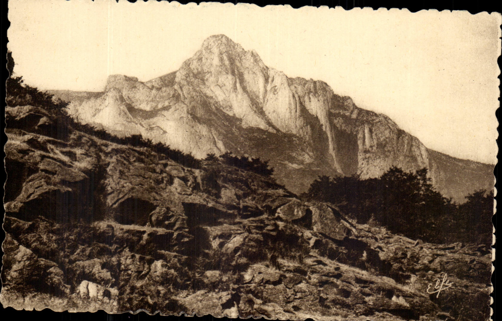 Saint Happy CPA Peak of the Guy