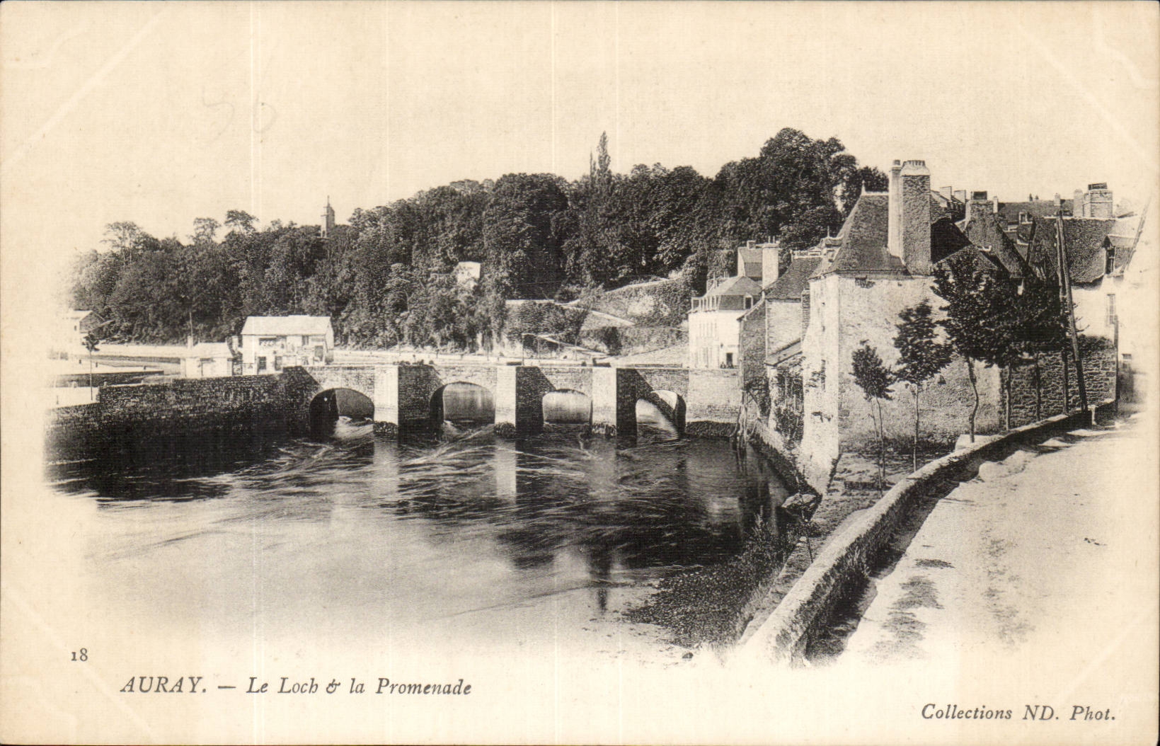 Auray CPA the log and the walk