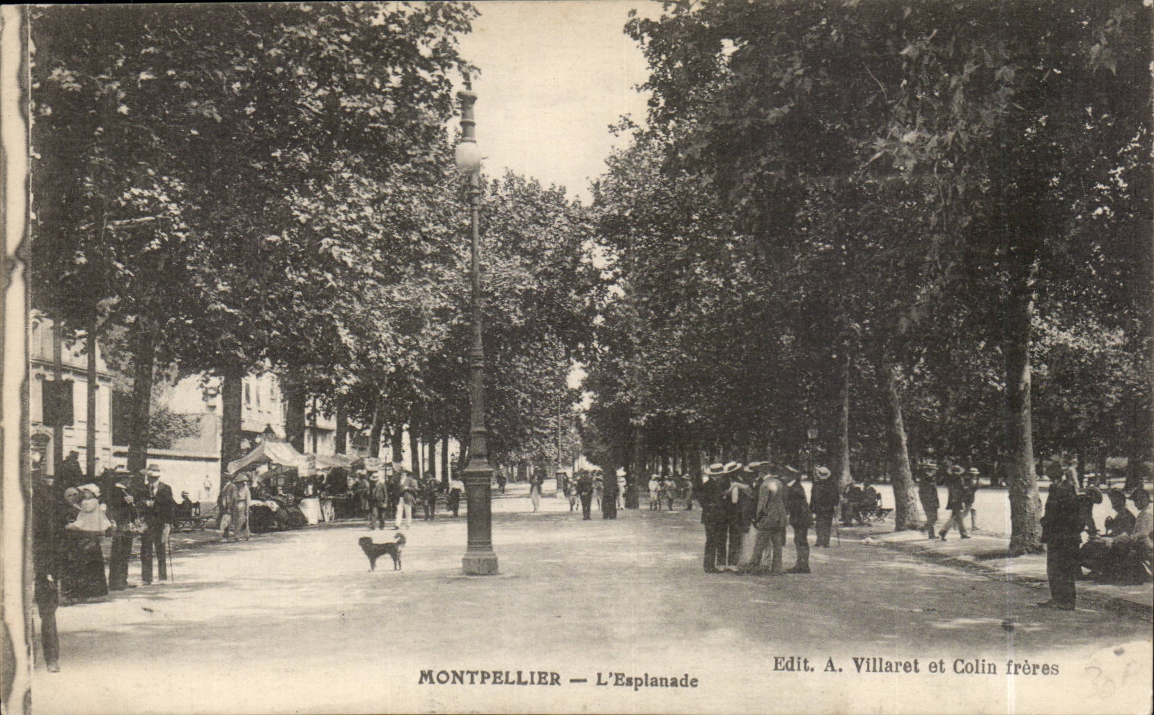 Montpellier CPA L'esplanade