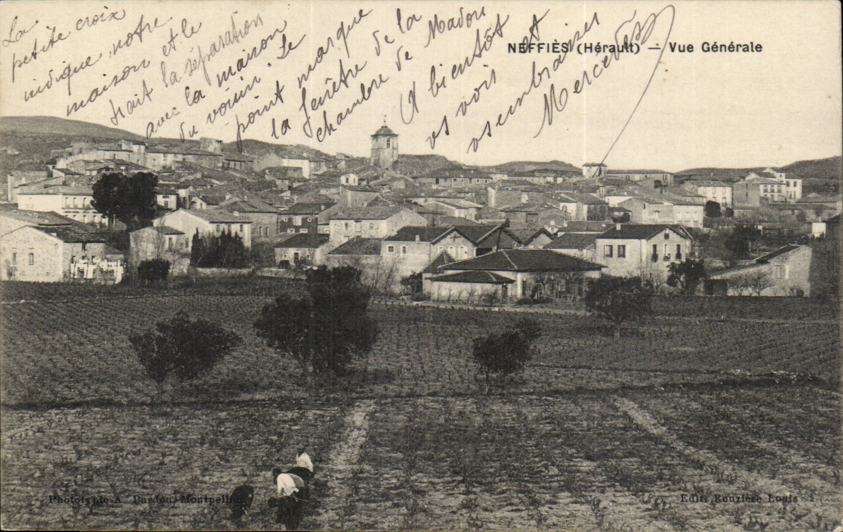 Neffies - View - CPA