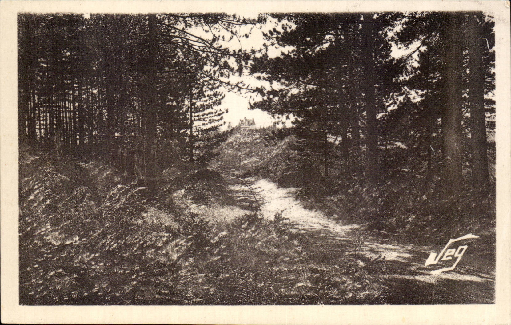 Vigan Umlagerungen Montdardier CPA das Bohrgerat der Kiefern an der Unterseite das Schloss