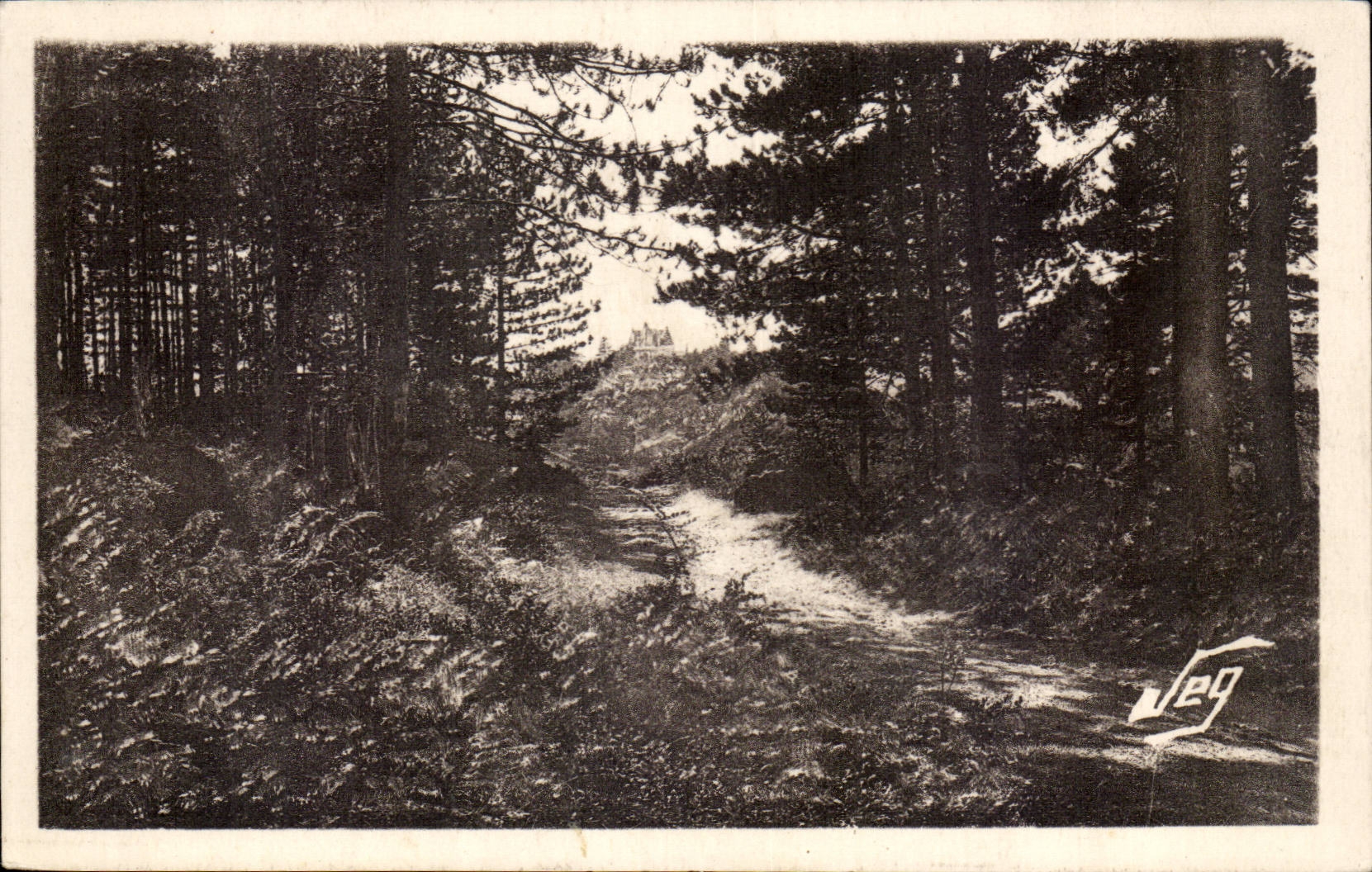 Vigan CPA Montdardier the drill of pines At the bottom the castle
