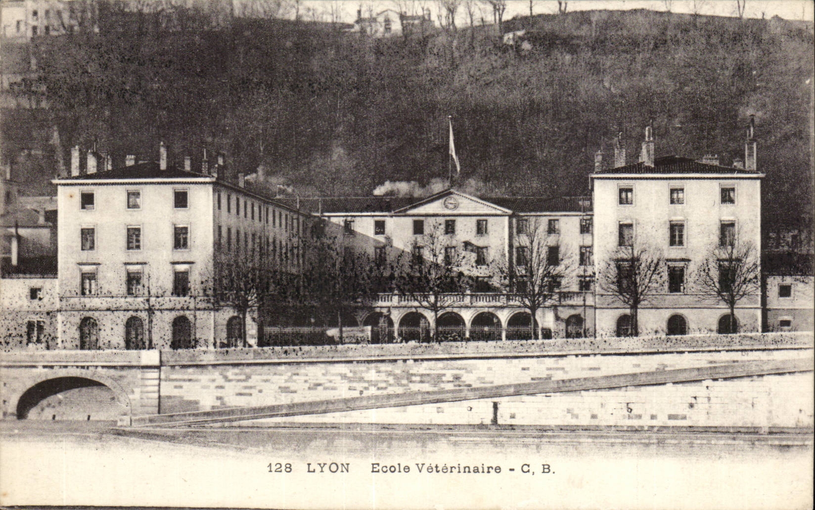 Veterinary Lyon CPA School
