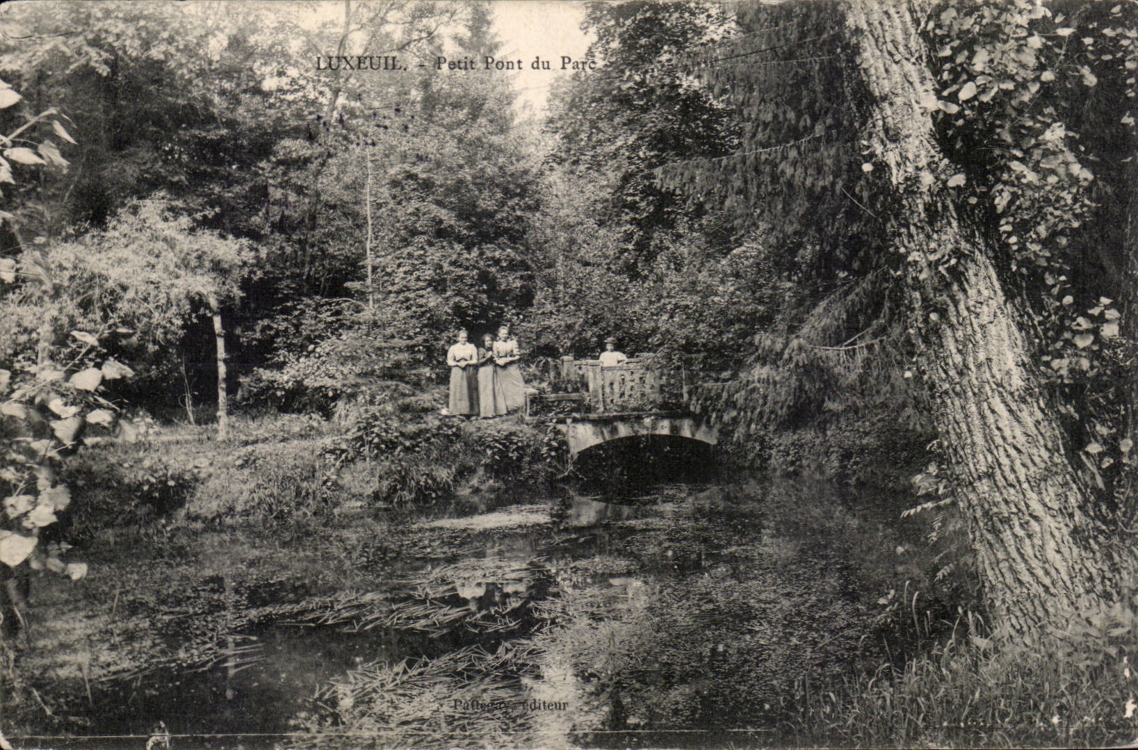 Luxeuil CPA Small bridge of the park