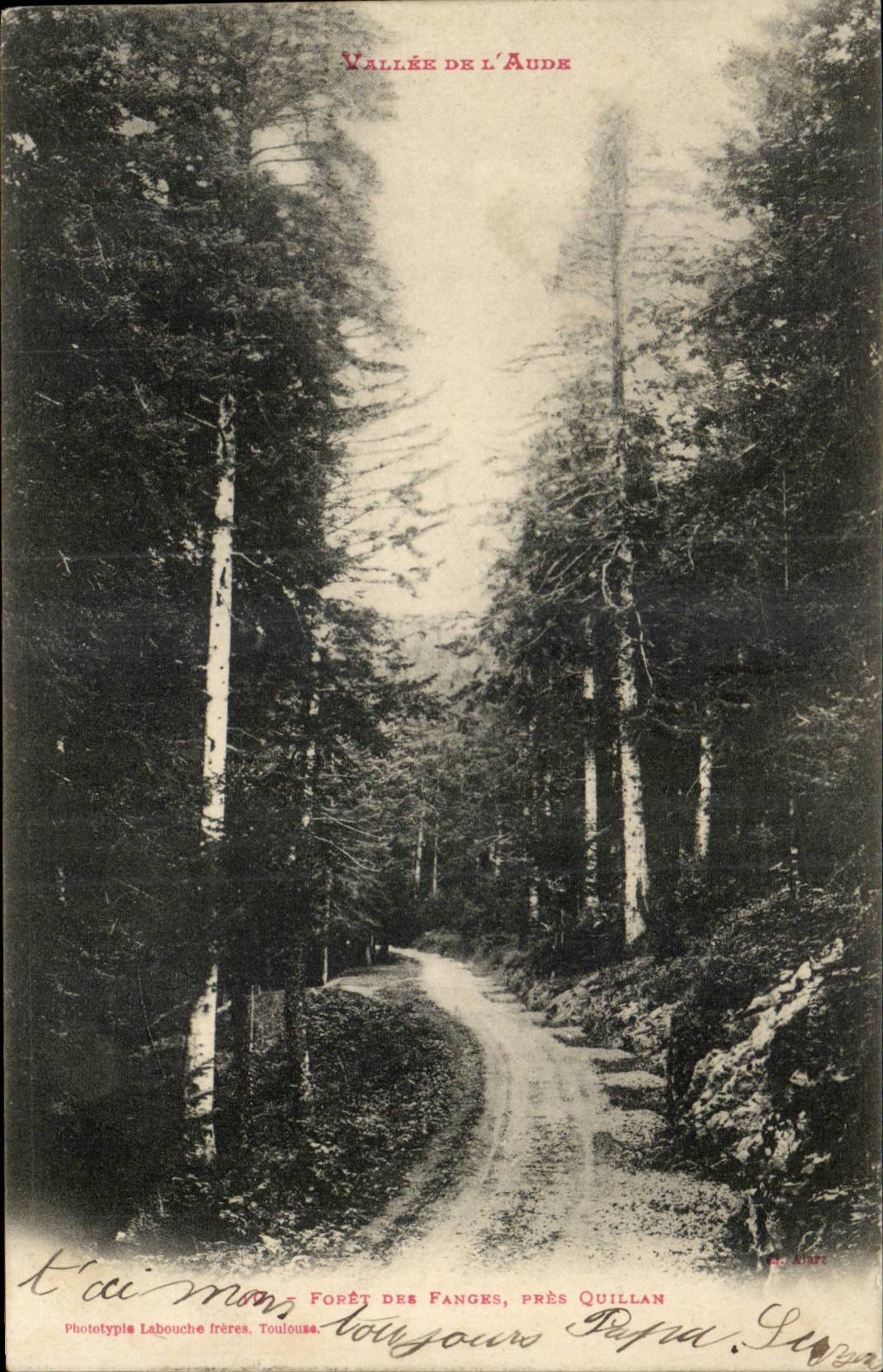 Pres Quillan - Foret des Fanges -- CPA