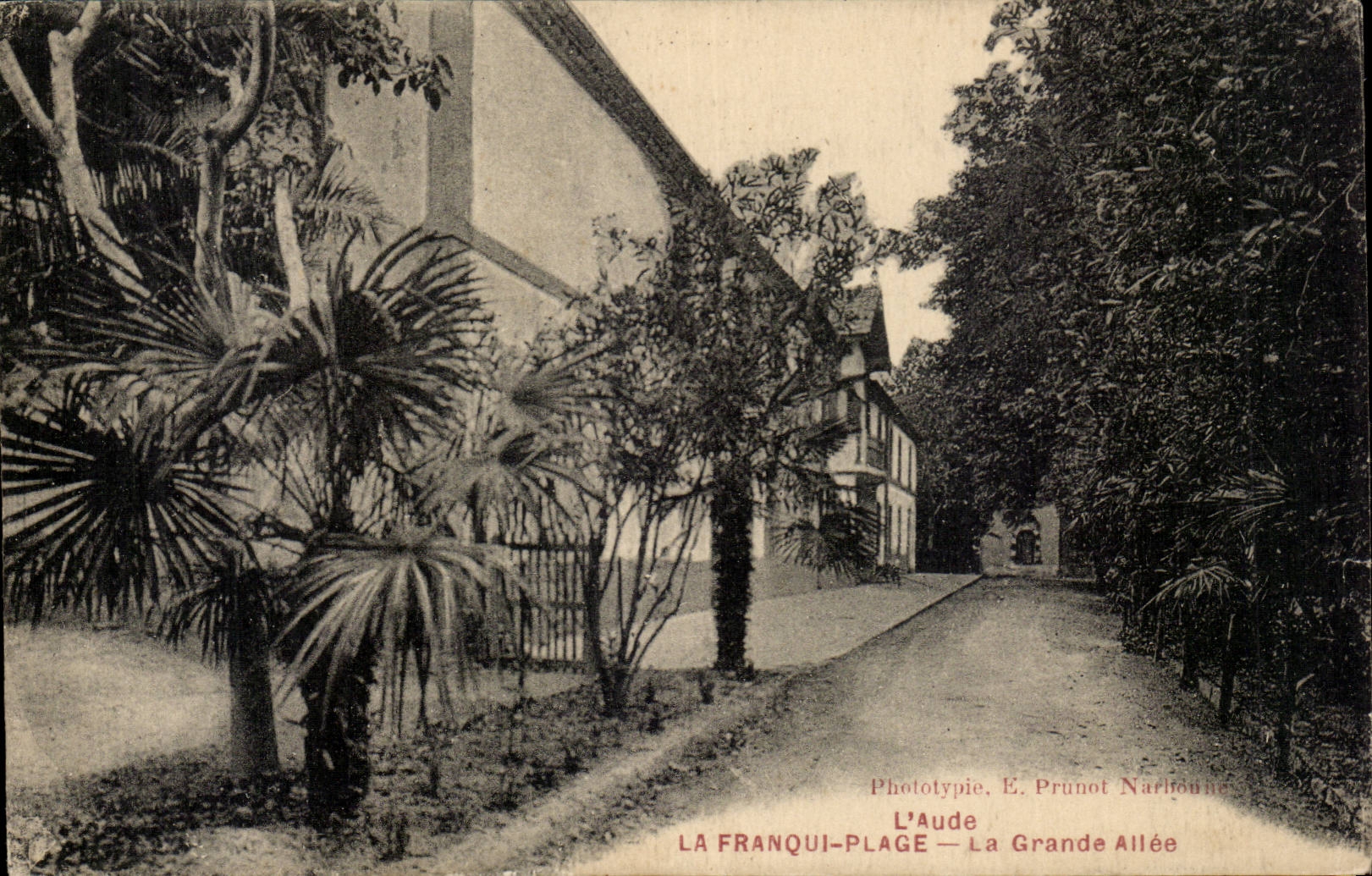 CPA La Franqui Plage La grande allee