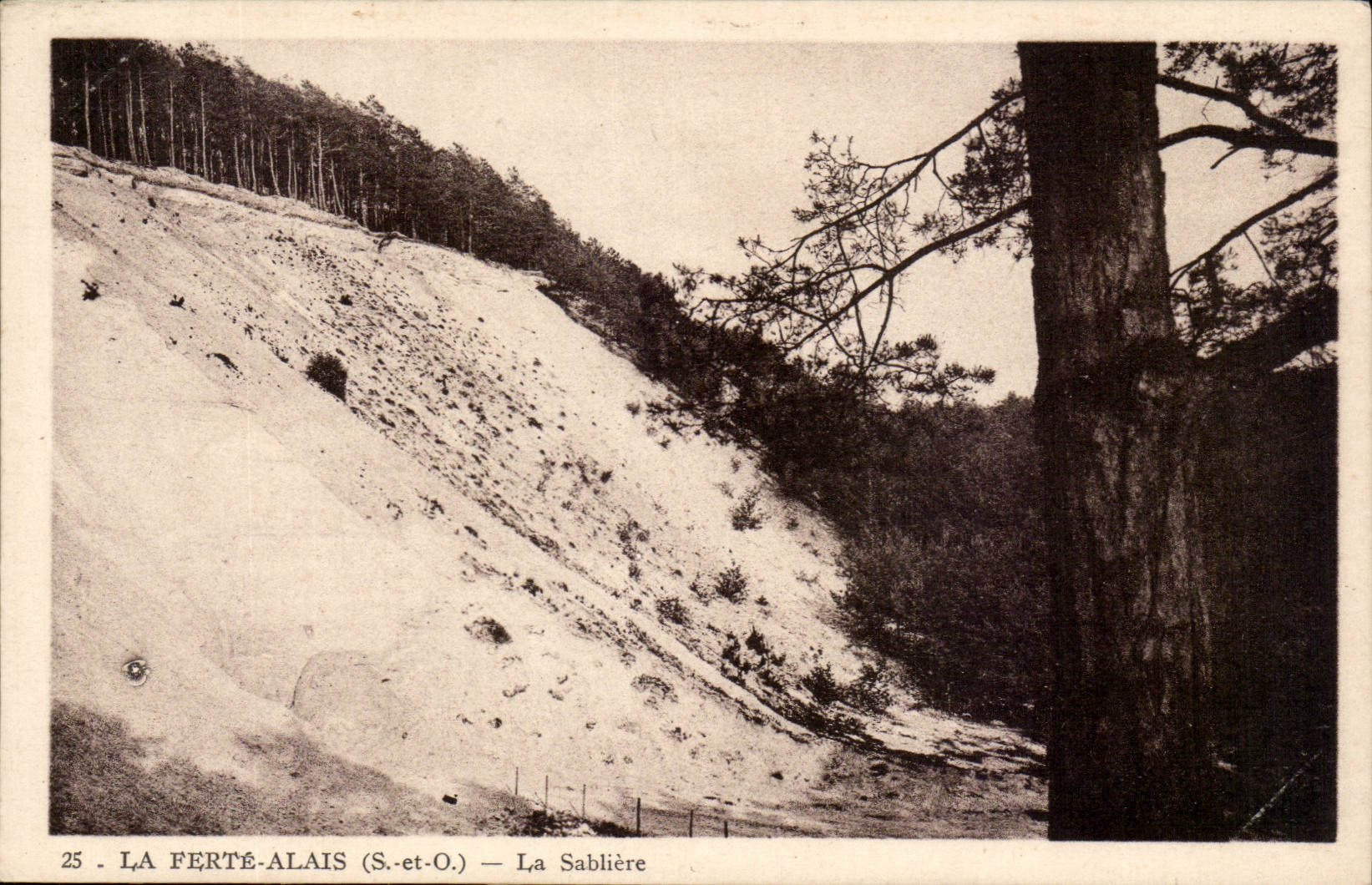 La FErte Alais CPA La sabliere