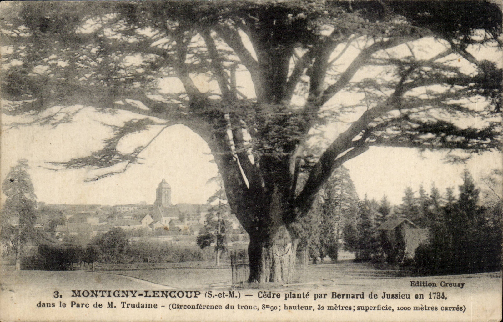 Montigny Lencoup - Cedar Plants by Bernard de Jussieu in 1734 in the Park of Mr Trudame - CPA