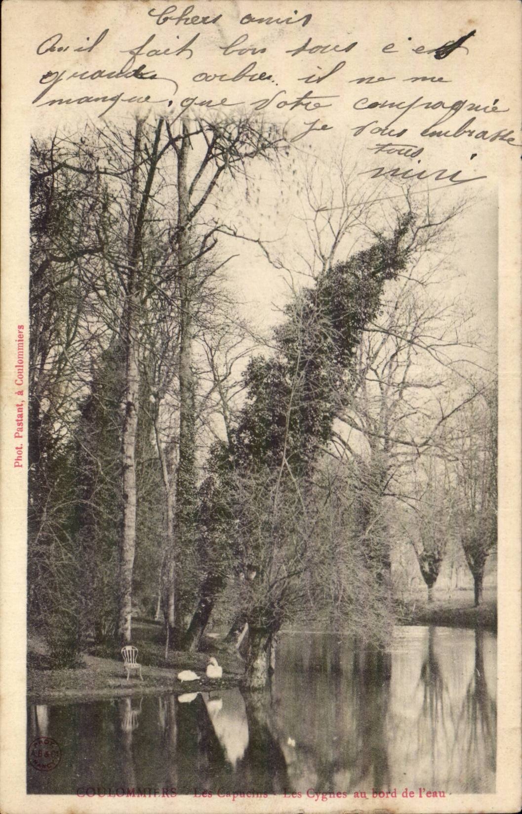 Coulommiers - Les Cygnes au Bord de l'eau - CPA 