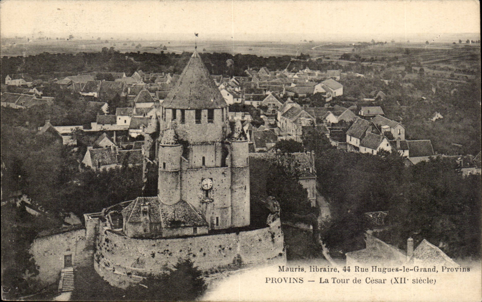 Layered branches CPA the tower of Cesar