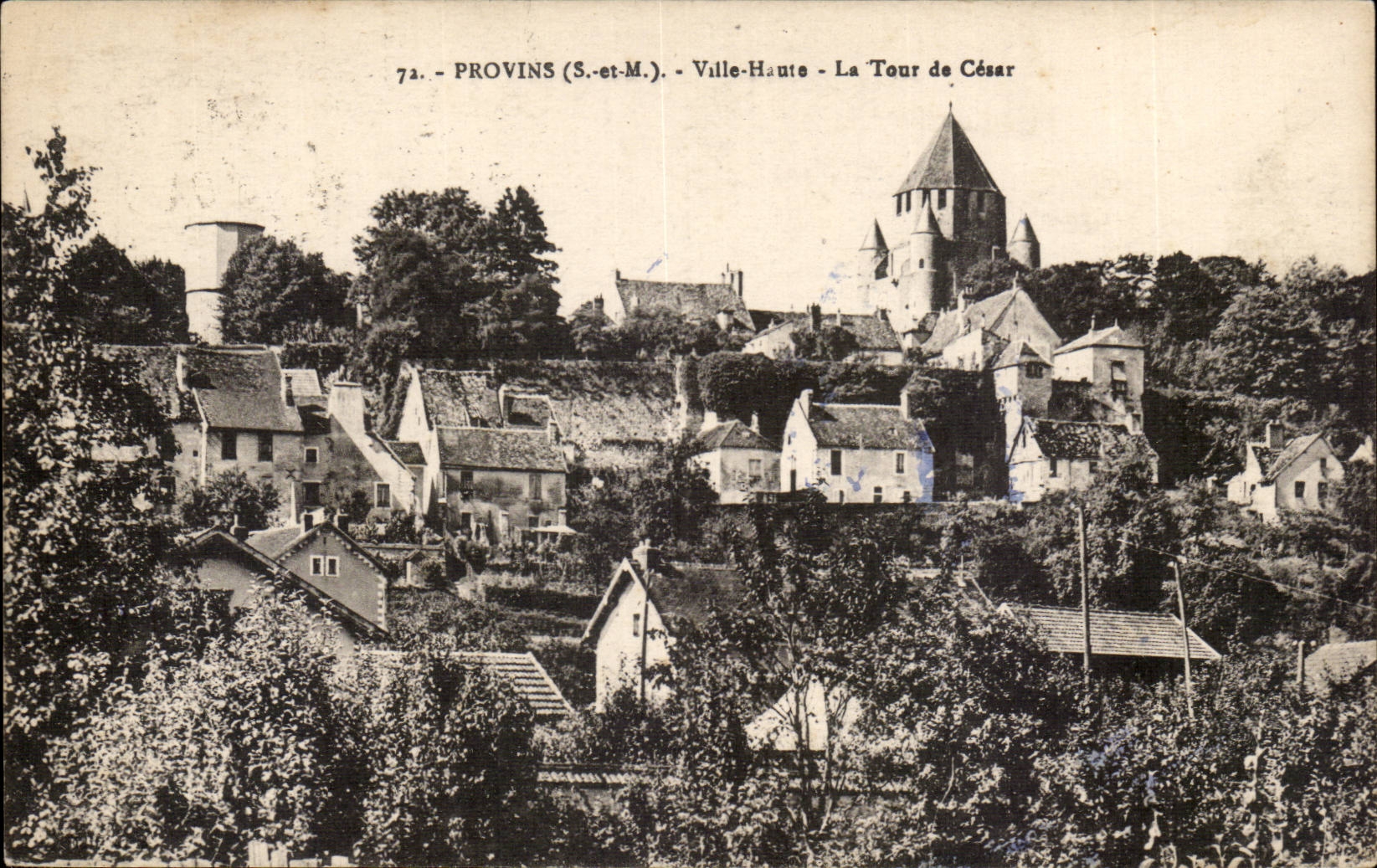 Layered branches CPA high City the tower of Cesar