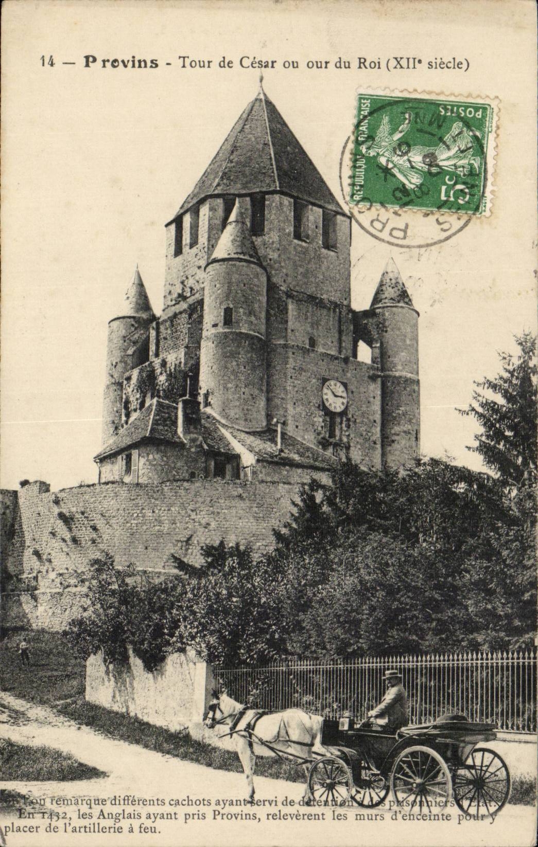 Layered branches CPA Turn of Cesar or court of the King (nice shot)