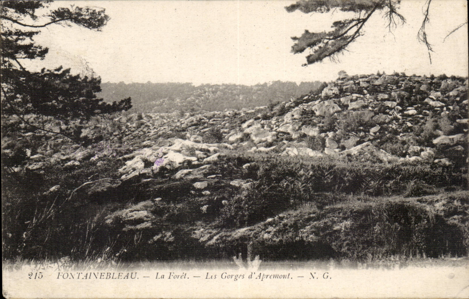 Fontainebleau CPA the drill throats of Apremont