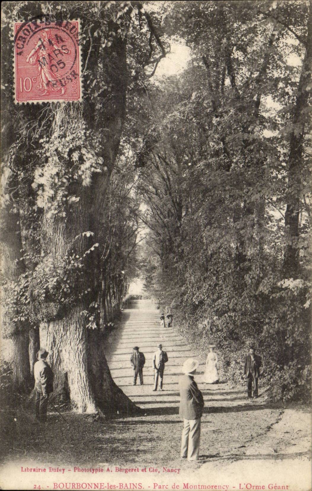 Bourbonne les Bains CPA Parc de Montmorency L'orme geant