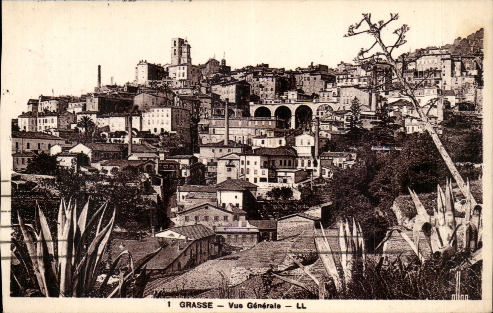 Fetthaltiges CPA View