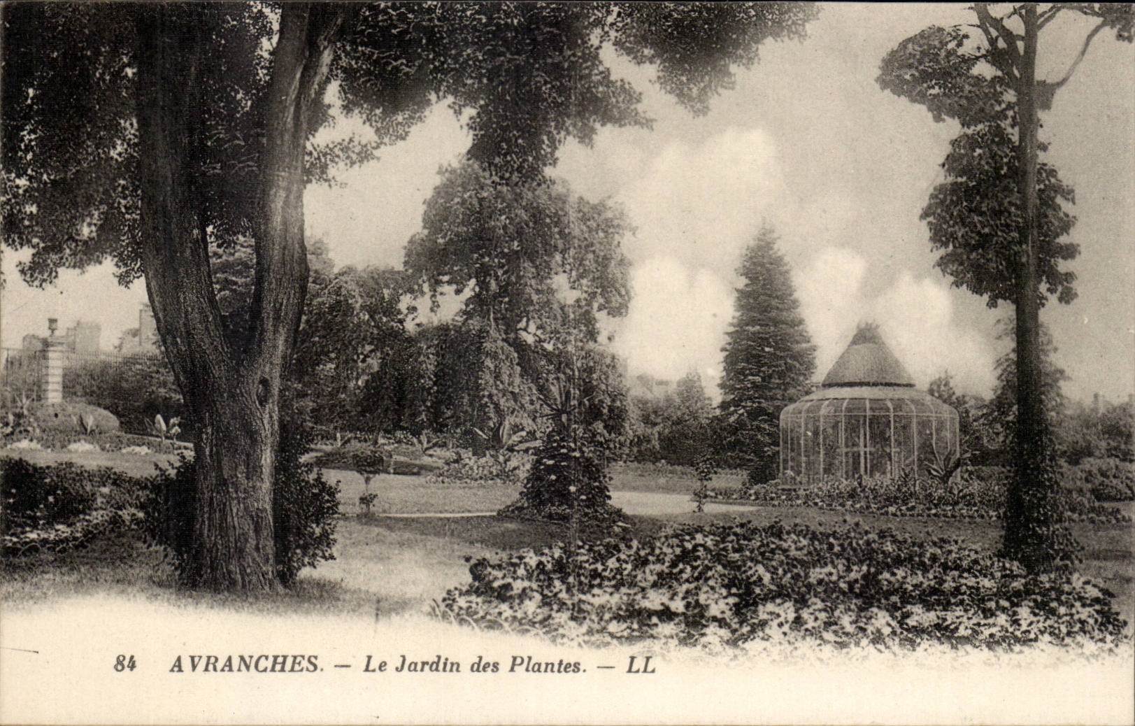 Avranches CPA Le jardin des plantes