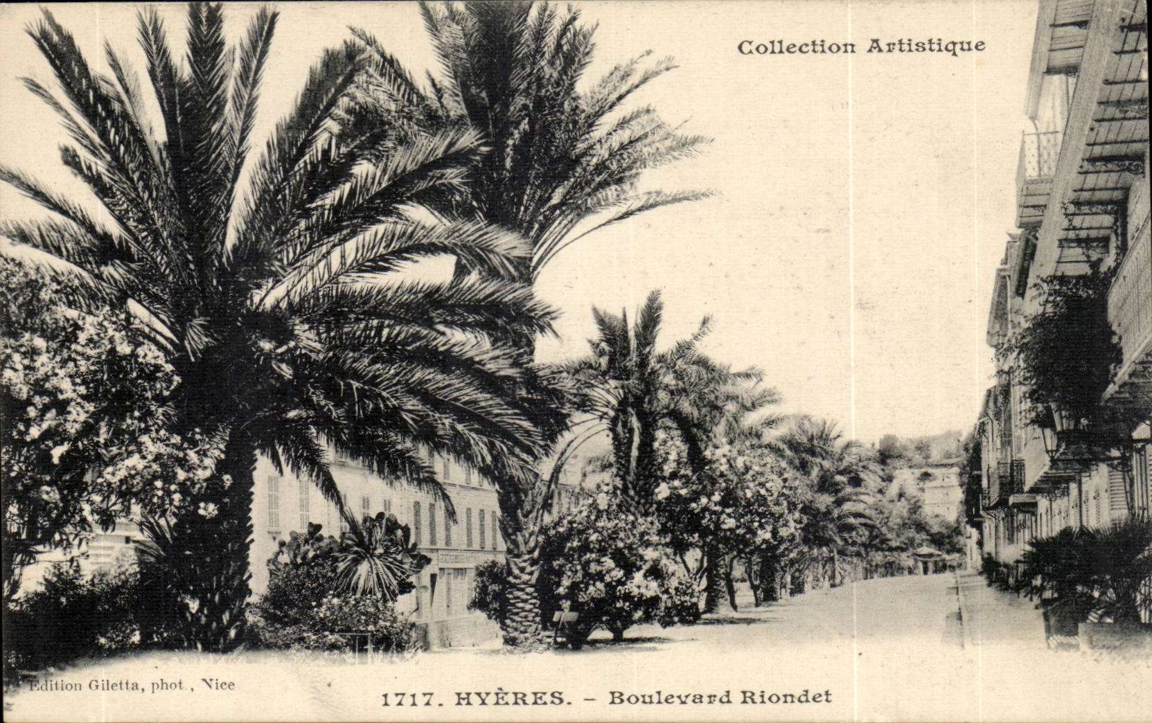 Hyeres - Riodet Prachtstrasse - Palmen - CPA