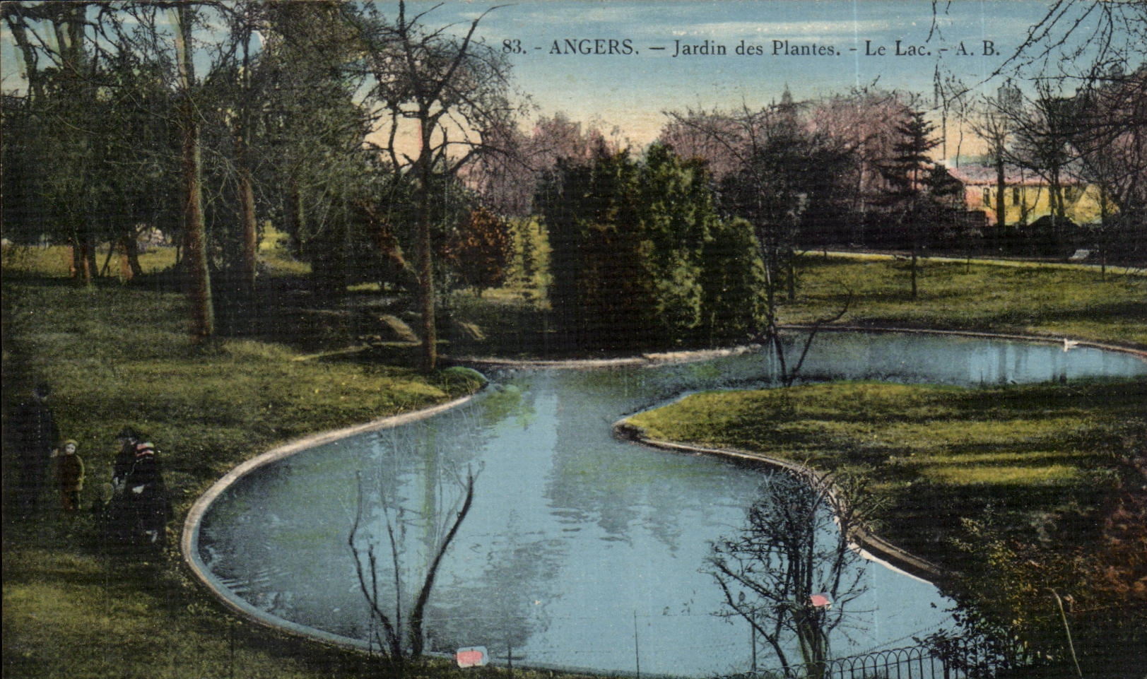 Angers - botanical garden the lake - blue held - CPA