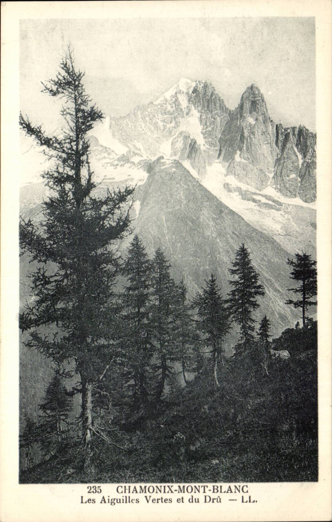 Chamonix Mont Blanc - Les Aiguilles Vertes et du Dru - CPA 