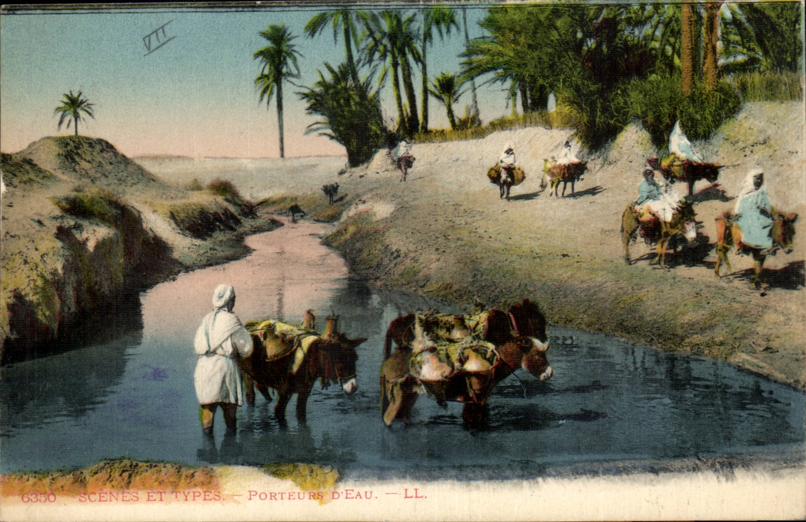 Africa - Algeria - Africa - Algeria - Scene and Types - Porteeurs D' Eau - ass - donkey - CPA