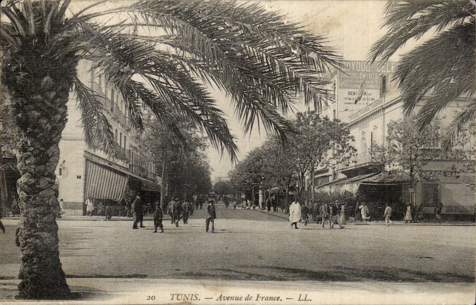 Africa - Tunisia - Africa - Tunis - Avenue of France - CPA