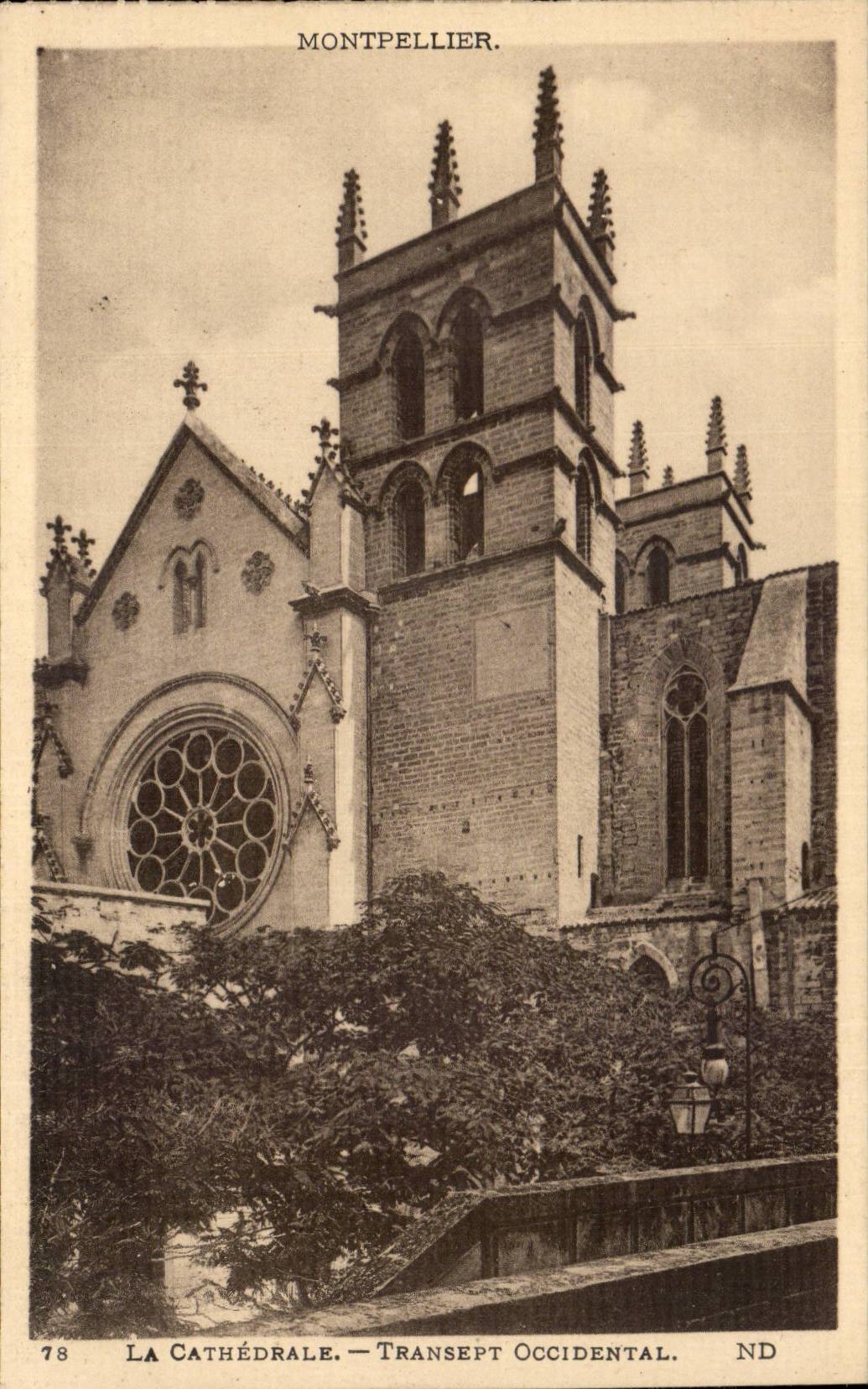 Montpellier - La Cathedrale - Transept Occidental - CPA 