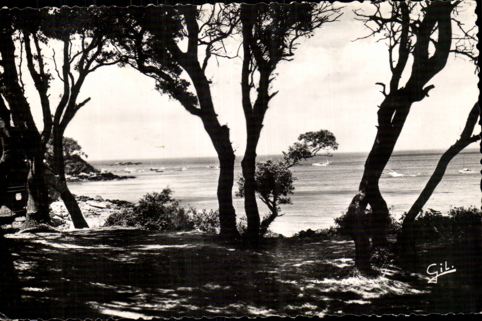 Noirmoutier CPA Escaped on the sea from wood the Chair