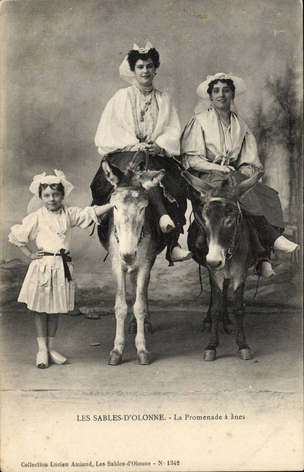 Sande von olonne CPA der Weg hat Esel (Eselmaultier)