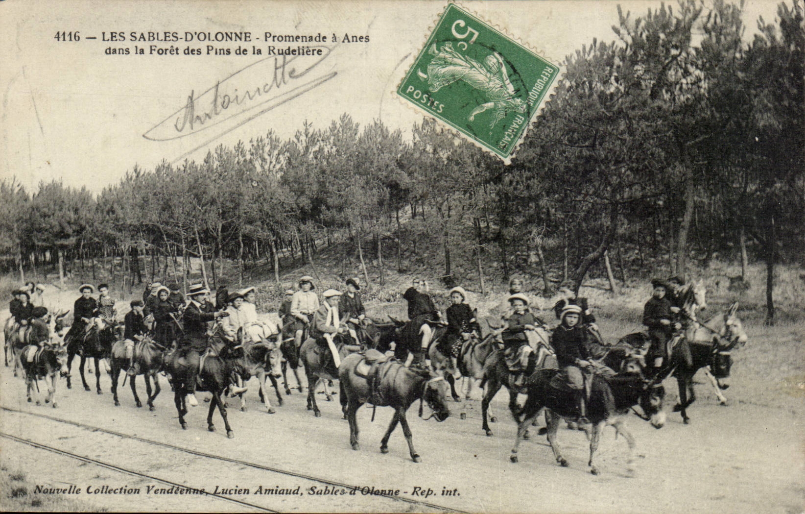Sande olonne CPA der Promenade hat Esel im Bohrgerat der Kiefern von Rudelliere (Folkloreesels-Eselmaultier)