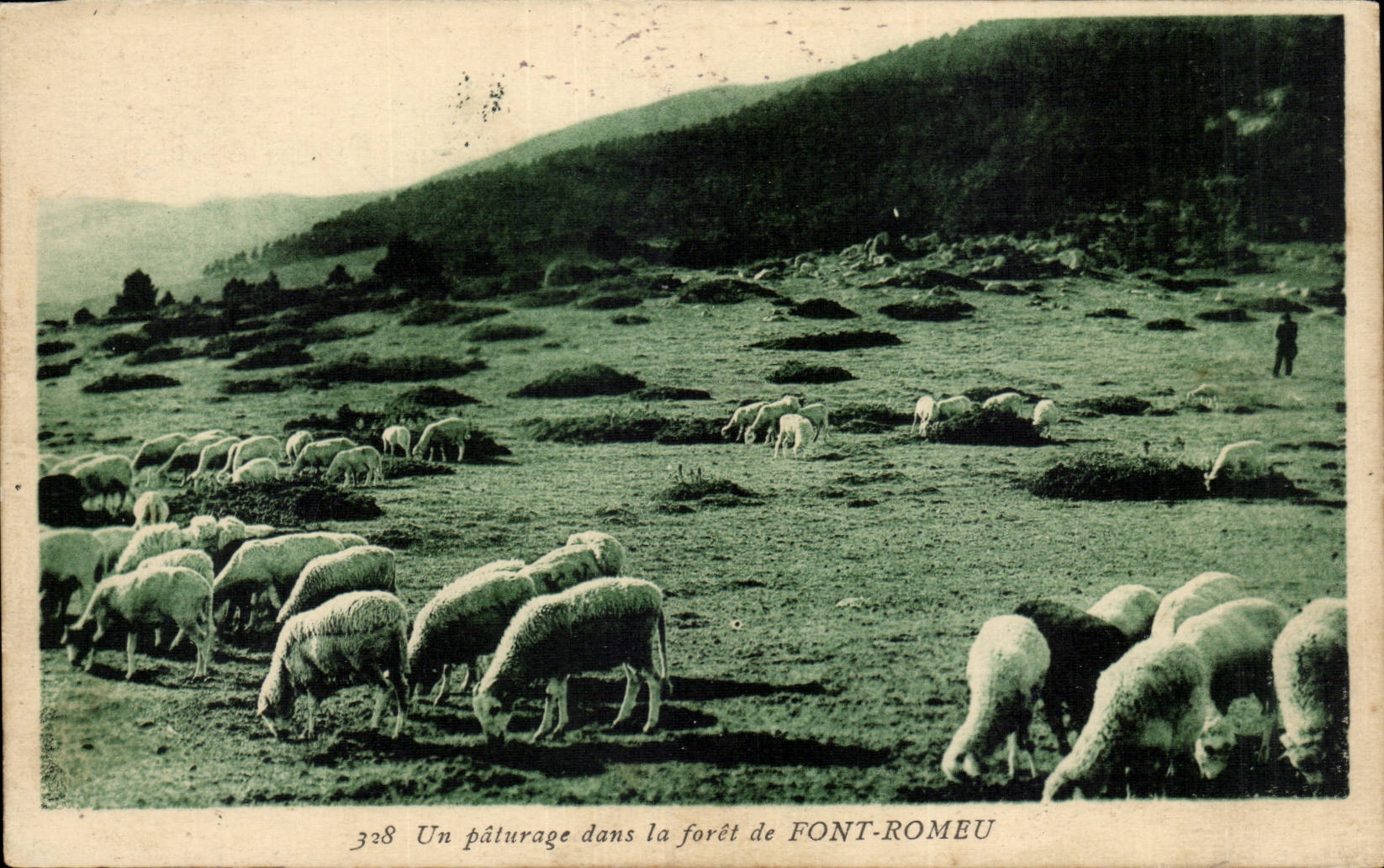 Make Romeu CPA a pasture in the drill (sheep)