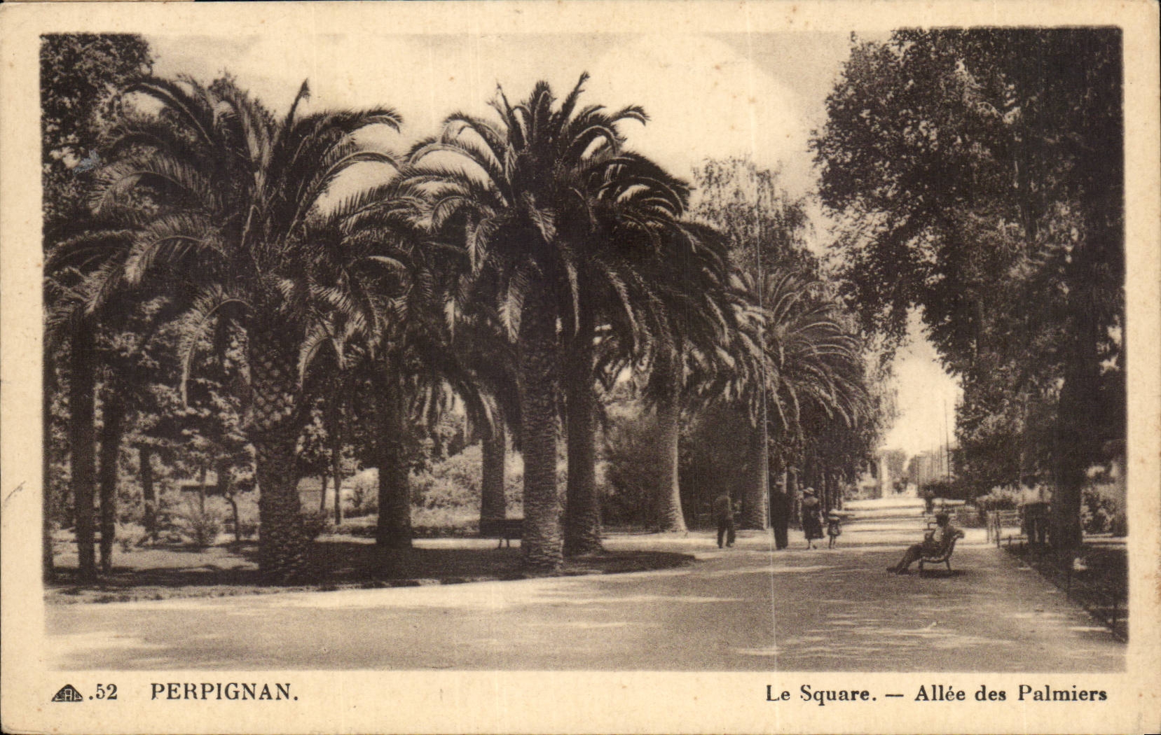 Perpignan CPA Le square Allee des Palmiers