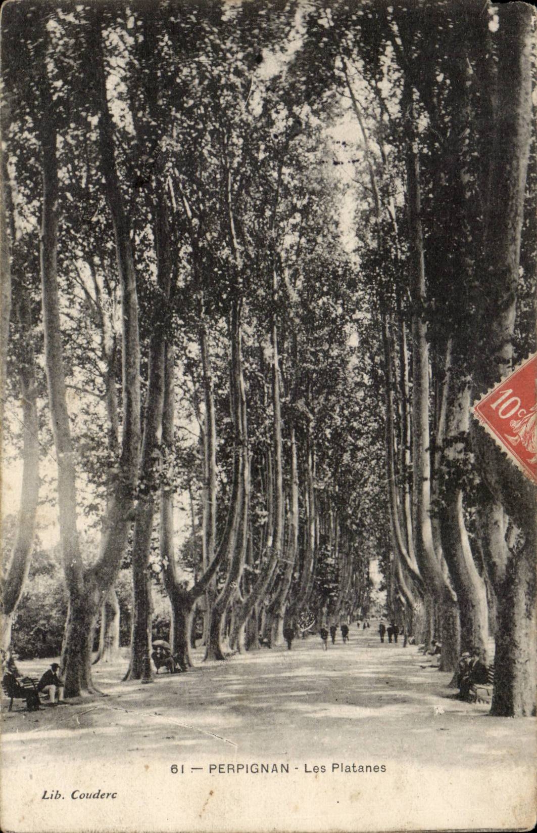 Perpignan CPA Les platanes