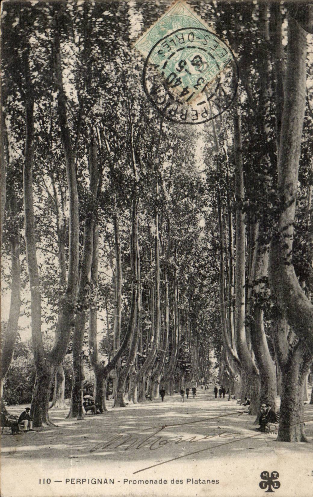 Perpignan CPA Promenade des platanes