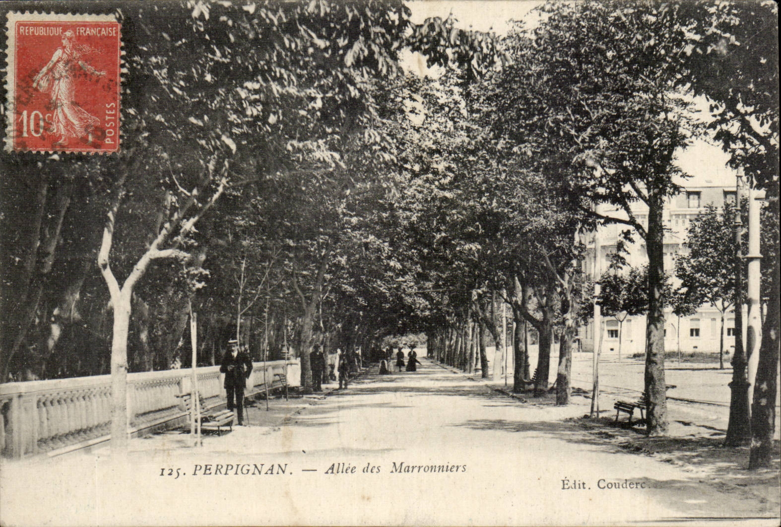 Perpignan CPA Allee des Marronniers