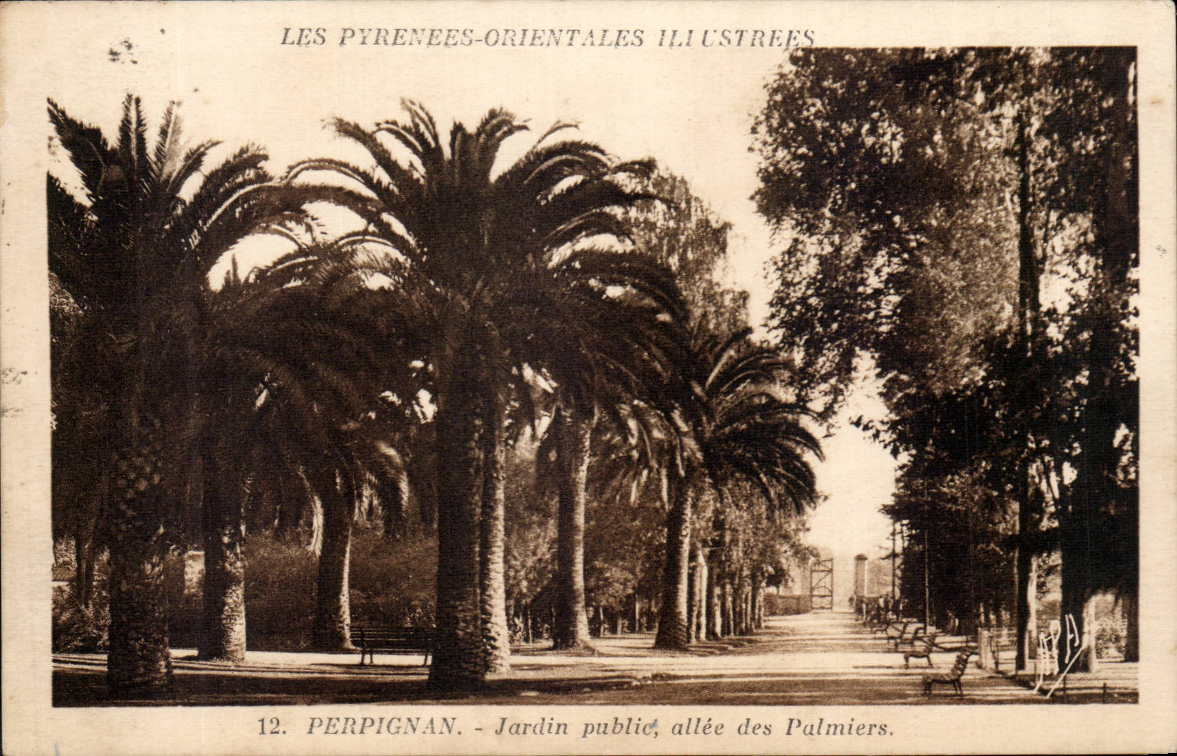 Perpignan CPA Jardin public allee des Palmiers