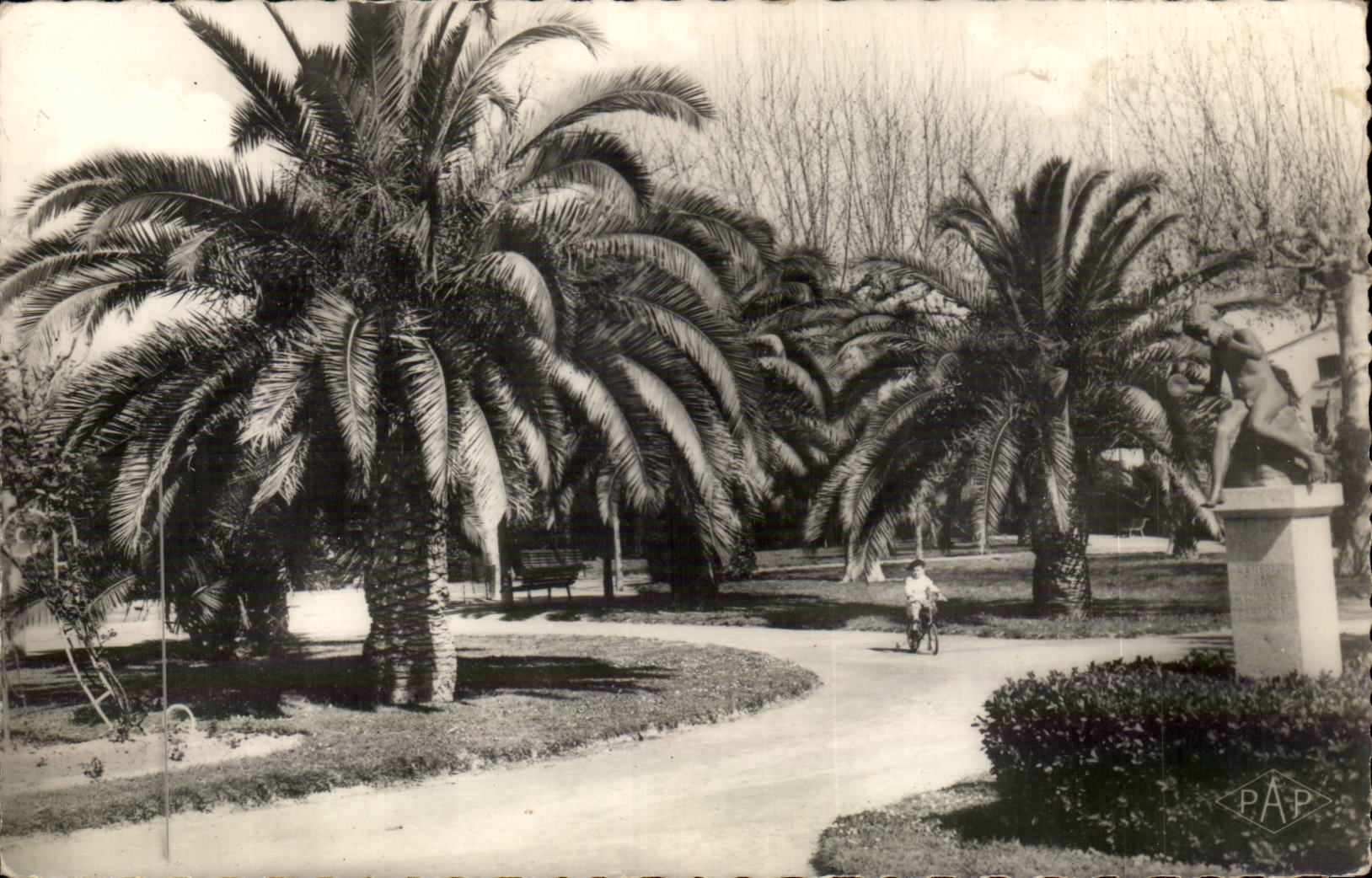 Perpignan - Jardin d'enfants et des Palmiers - CPA 