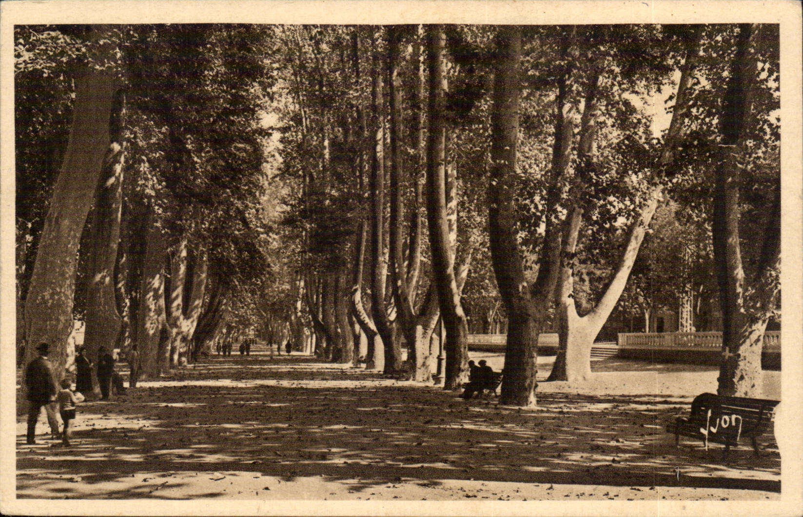 Perpignan - Les Plantanes - CPA 
